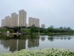 -前关湿地公园