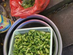 小角瓜-腾冲国萍农家乐