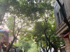 -黎黄陂路街头博物馆