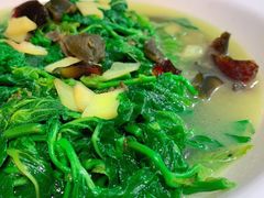 上汤浸桑叶-红日饭店(裕隆三路店)