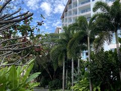 -海南清水湾莱佛士酒店