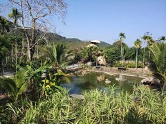 -海南槟榔谷黎苗文化旅游区