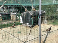 -小鱼草莓采摘园农家乐·小鱼餐厅