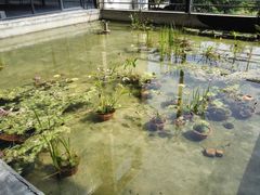 -广州市紫泥堂文化创意园景区