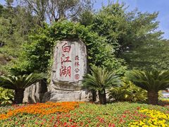 -广州白江湖森林公园