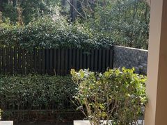 -上海崇明金茂凯悦酒店