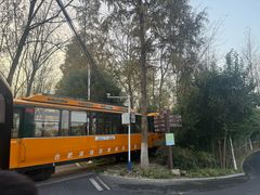 -合肥滨湖国家森林公园