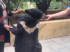 -东方熊牧场