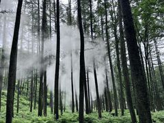 -洛阳白云山景区