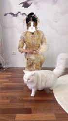 -懿沉香中式嫁衣礼服秀禾服龙凤褂马来褂旗袍总店