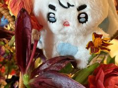 -AZUR聚(香格里拉饭店)