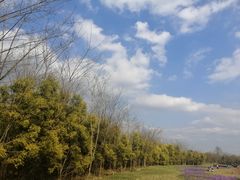 -白鹭湾湿地公园