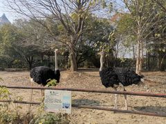 -南昌动物园