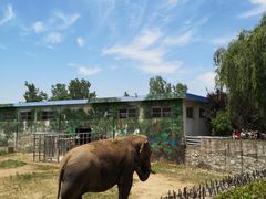 -西安秦岭野生动物园