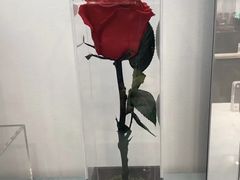 -ROSEONLY诺誓(广州K11店)