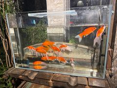 -吃厂 FEED FACTORY·云南菜(798店)