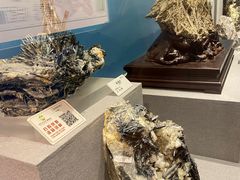 -贵州省地质博物馆
