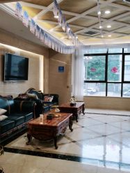 -碧莲盛·不剃发植发