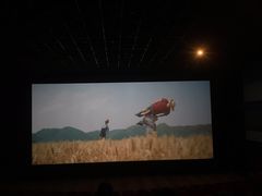 -万达影城(长沙婚庆公园中国巨幕店)