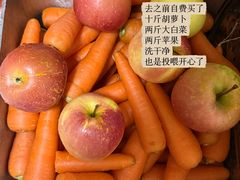 -常州淹城野生动物世界