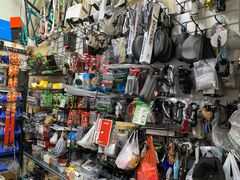 -道路口单车爱瓦士dahon大行