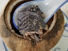 原只椰子炖竹丝鸡-達揚原味燉品(文明路店)