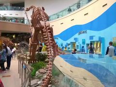 -陕西自然博物馆