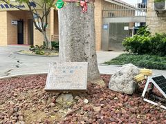 -常州古运河南大街文化旅游区-人民公园