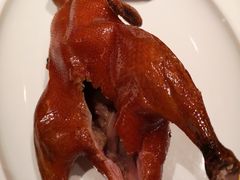 首创昆明BB鸭-东富酒家(龙湖西溪天街店)