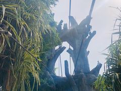 -亚洲大陆最南端
