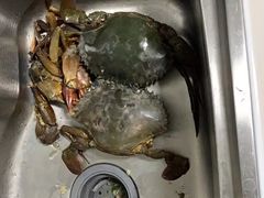 -蓝海国际大饭店·蓝钻自助百汇(兰山店)