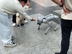 -仁和公园(顺义区)