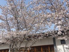 -嘉北郊野公园