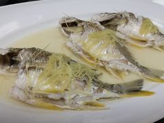 -花城苑广府菜(海心沙店)