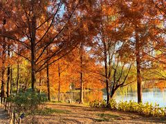 -浙江农林大学(东湖校区)