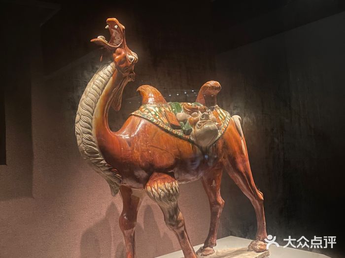 洛阳博物馆图片