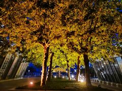 -湖州太湖旅游度假区-月亮广场