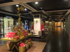 -DFS旗下T广场(新加坡店)