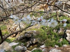 -铜陵市铜官山森林公园