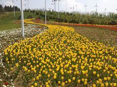 F:\图片\点评\植物园上传\IMG068-沈阳植物园