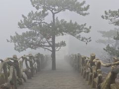 -罗田天堂寨风景区