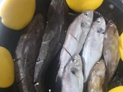 -宾朋海鲜特色美食餐厅·纯手工鲅鱼水饺(兴海路店)