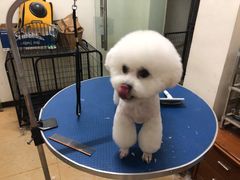 -沐沐家宠物(成寿寺店)