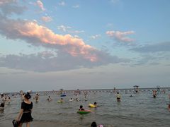 -碧海金沙