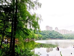 -重庆彩云湖湿地公园