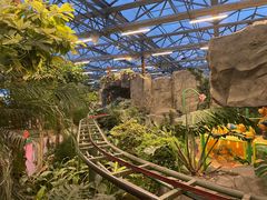 -南宫五洲植物乐园