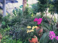 -郑州植物园