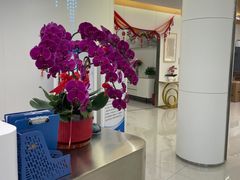 -皓齿连锁·雅贝健口腔·种植·矫正中心(虹口曲阳路店)