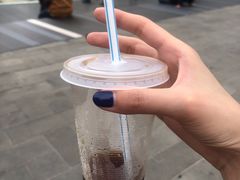 -罗汉果龙眼冰糖燉冬瓜