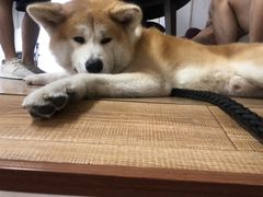 -YCHL Studios健身工作室(市二宫店)